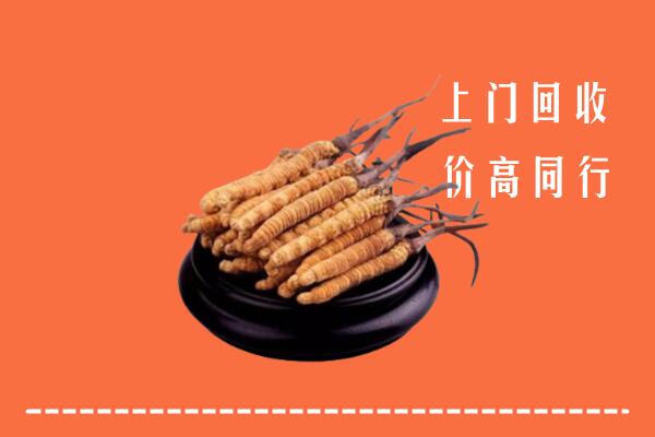 附近收购：宁强县冬虫夏草回收多少钱每克